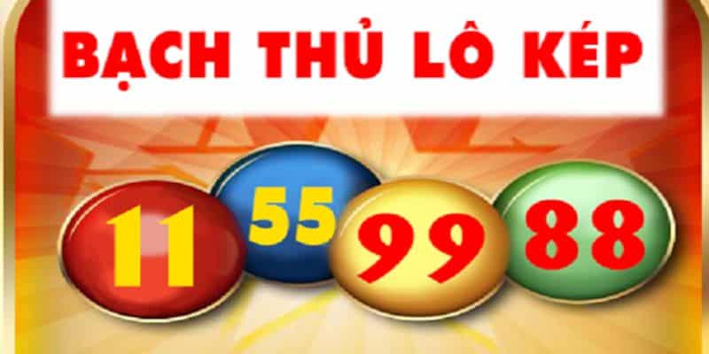 Cách bắt bạch thủ lô chính xác từ các chuyên gia