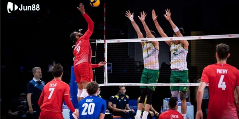 tan-dung-cac-cong-cu-ho-tro-va-du-doan-tu-dien-dan 