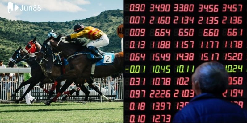 bo-tui-luu-y-khi-choi-cuoc-dua-ngua 