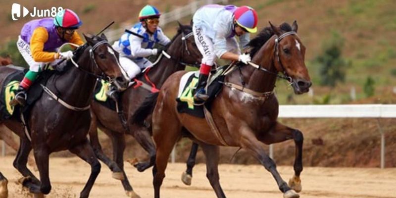 meo-thang-dua-ngua-theo-keo-du-doan-thu-tu 