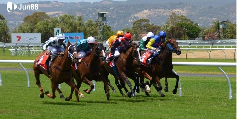 cac-loai-keo-pho-bien-trong-ca-cuoc-dua-ngua-tai-jun88