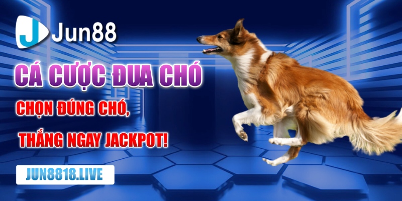 Cá cược đua chó