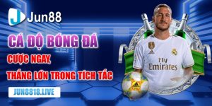 bí kíp cá độ bóng đá