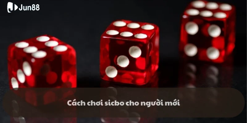 Hướng dẫn chi tiết cách chơi Sicbo xúc xắc để bet thủ nắm được