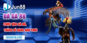 đá gà 88