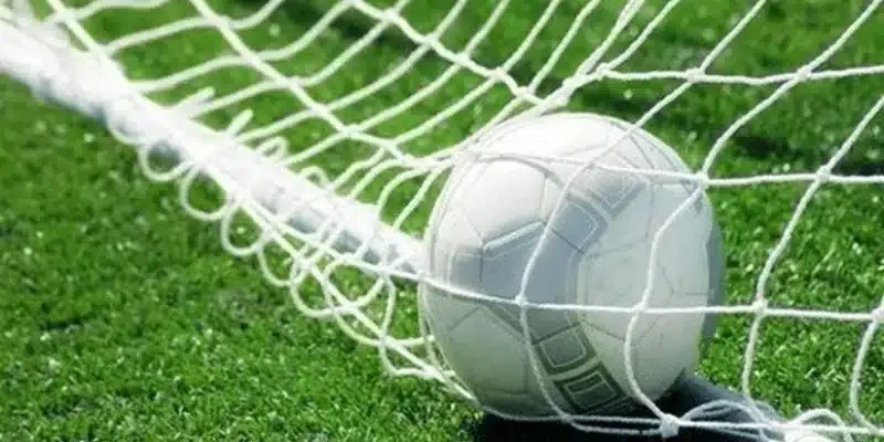 hieu-ro-chuan-chi-ve-keo-chap-mot-trai-ruoi