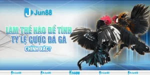 Tỷ lệ cược đá gà chuẩn  tại Jun88– Bí quyết cược hiệu quả.