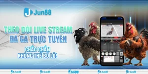 Xem live stream đá gà siêu nét – Trận đấu kịch tính nhất tại Jun88