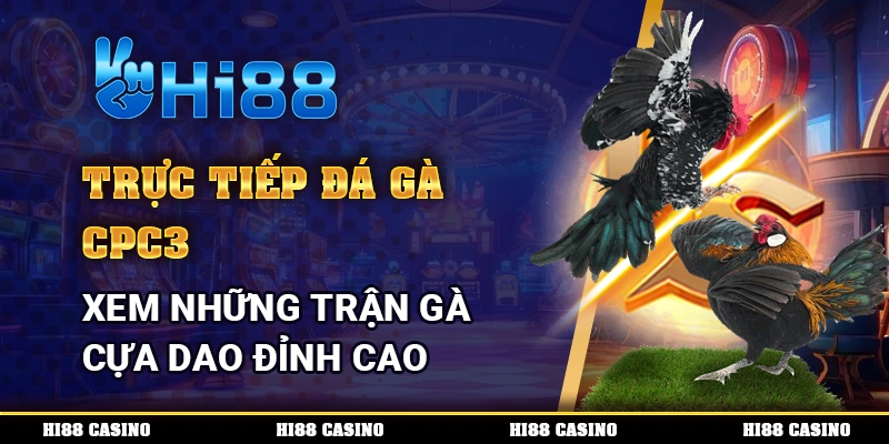 Trực Tiếp Đá Gà CPC3