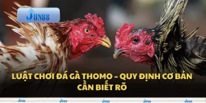 Luật chơi đá gà Thomo – Quy định cơ bản cần biết rõ