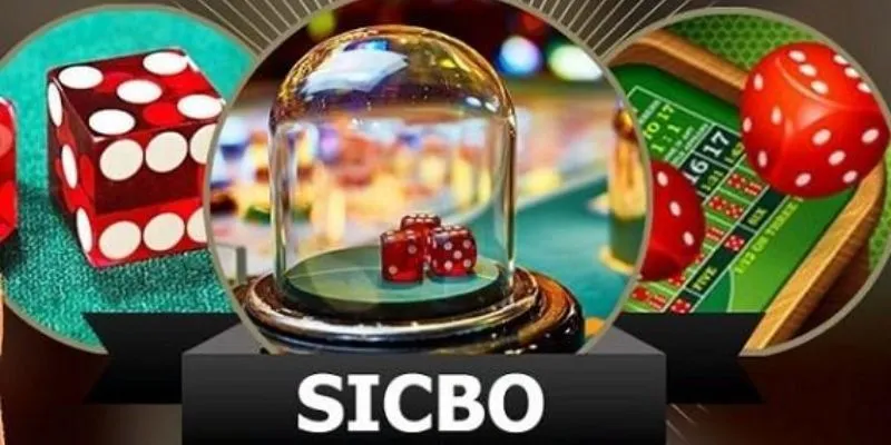 Các cửa cược phổ biến trong sicbo