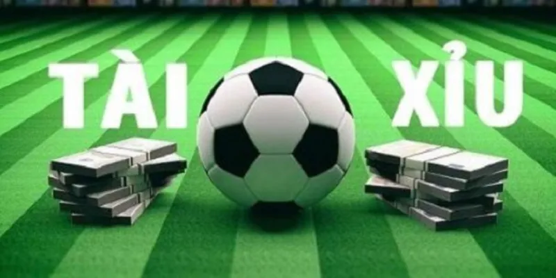 Nghiên cứu sâu về các loại kèo tài xỉu phổ biến