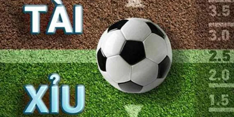 Các yếu tố cần lưu ý khi chơi kèo tài xỉu
