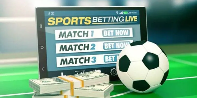 Luật lệ và quy định của mẹo đặt cược thẻ vàng