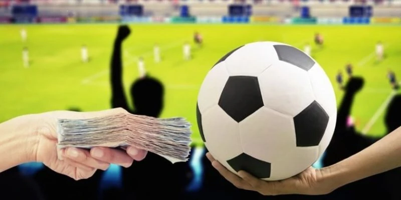 Tổng hợp các yếu tố ảnh hưởng đến soi kèo 