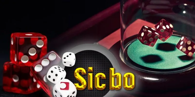 Kinh nghiệm chơi Sicbo được cao thủ đánh giá cao