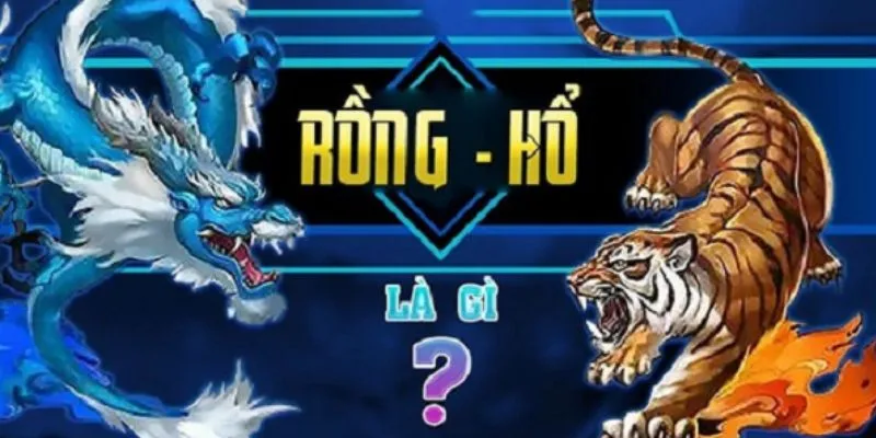 Những kỹ thuật chơi rồng hổ cần đặc biệt lưu ý